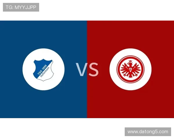 [德甲]第19轮：霍芬海姆VS法兰克福.